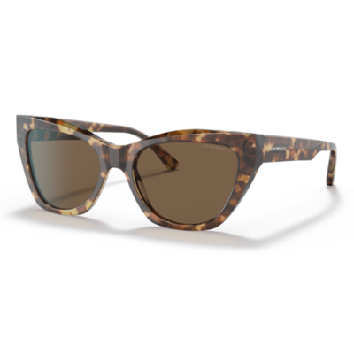 Emporio Armani EA4176 Sunglasses